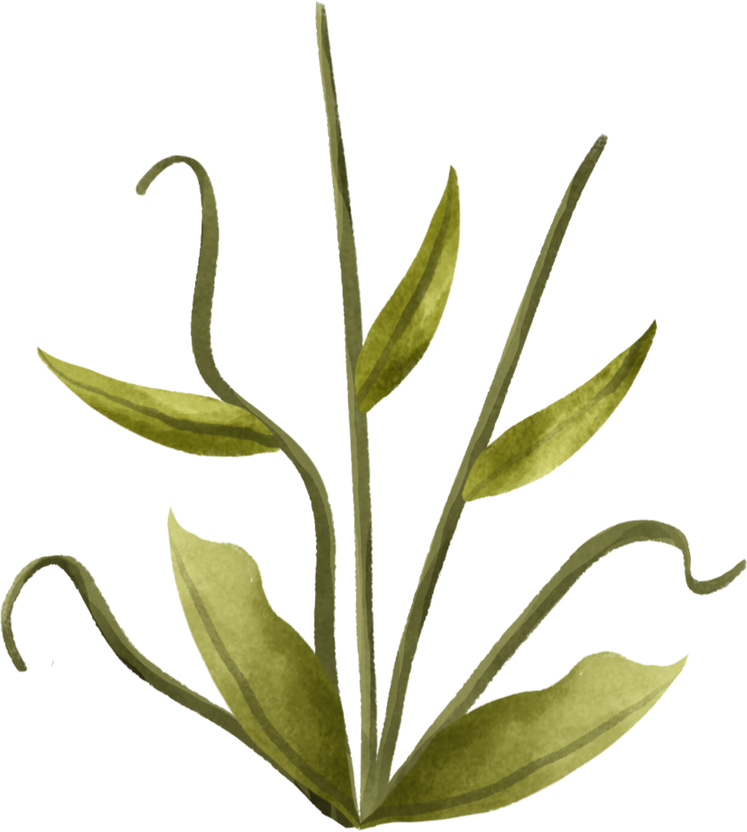 Watercolor Grouped Stems And Leaves